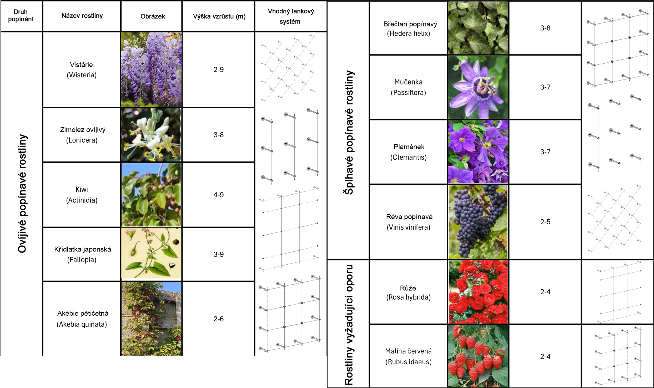 příklady kytek na stěnu